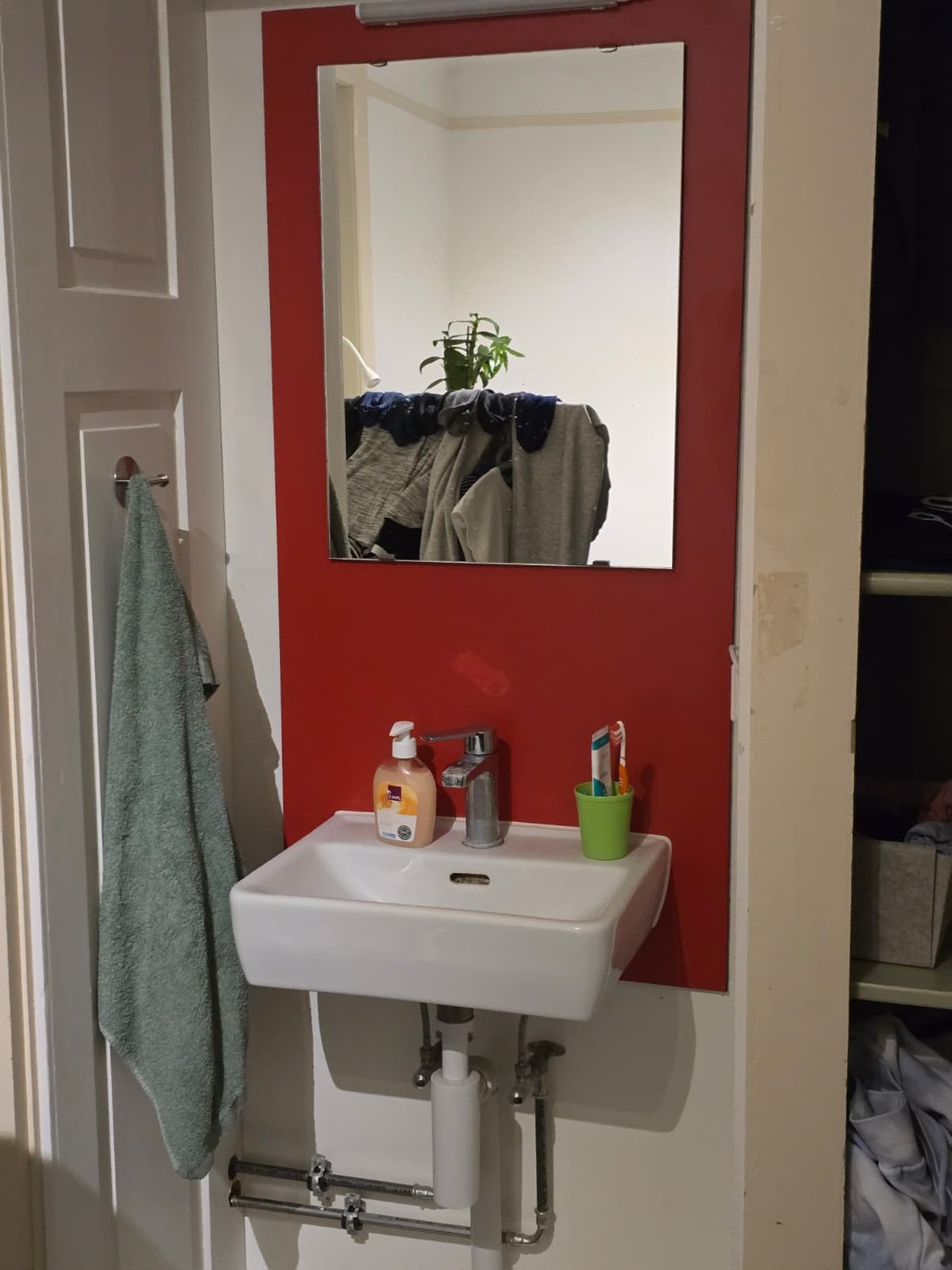 Room in a shared flat