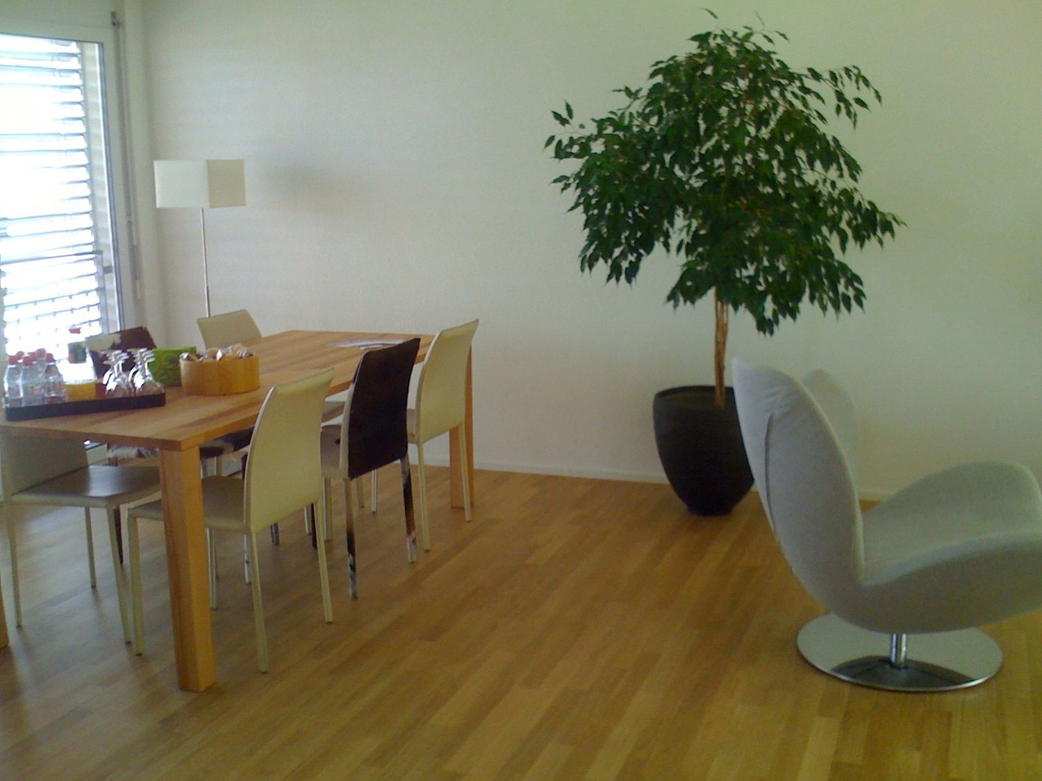 Appartamento mobilato di 3 ½ locali, foto 1 di 8