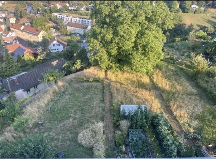 Stanza in un appartamento condiviso, foto 4 di 6