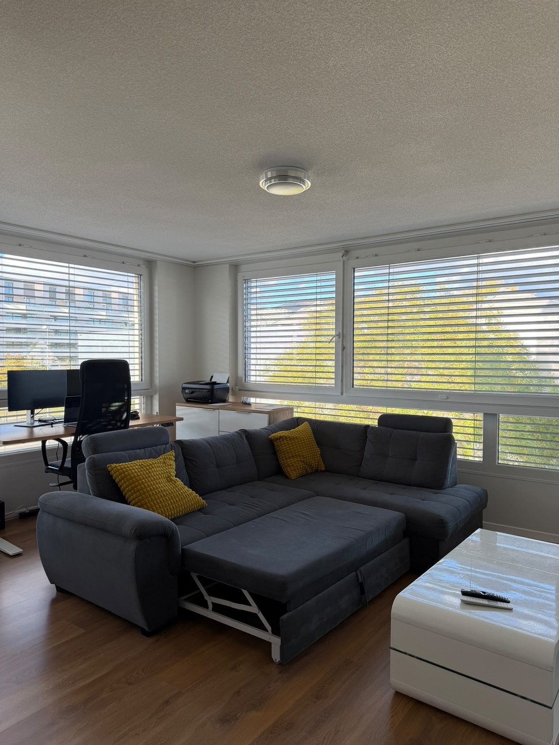 Appartamento di 2 ½ locali, foto 1 di 9