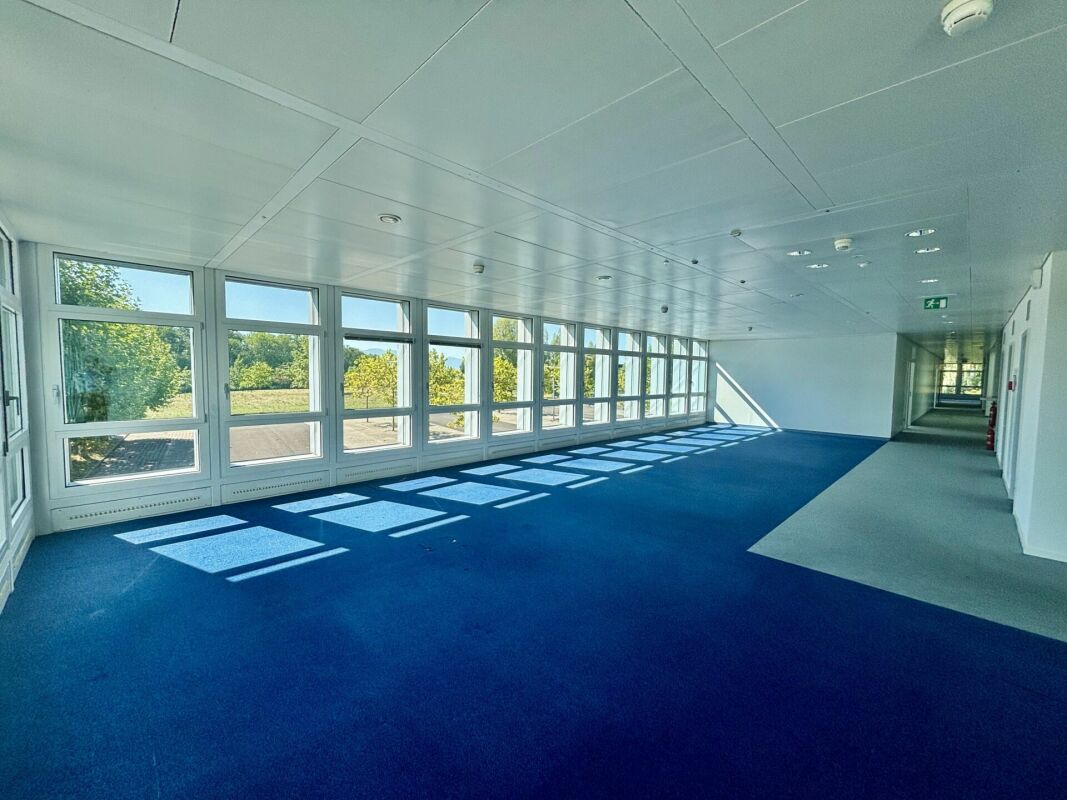 2600m² office