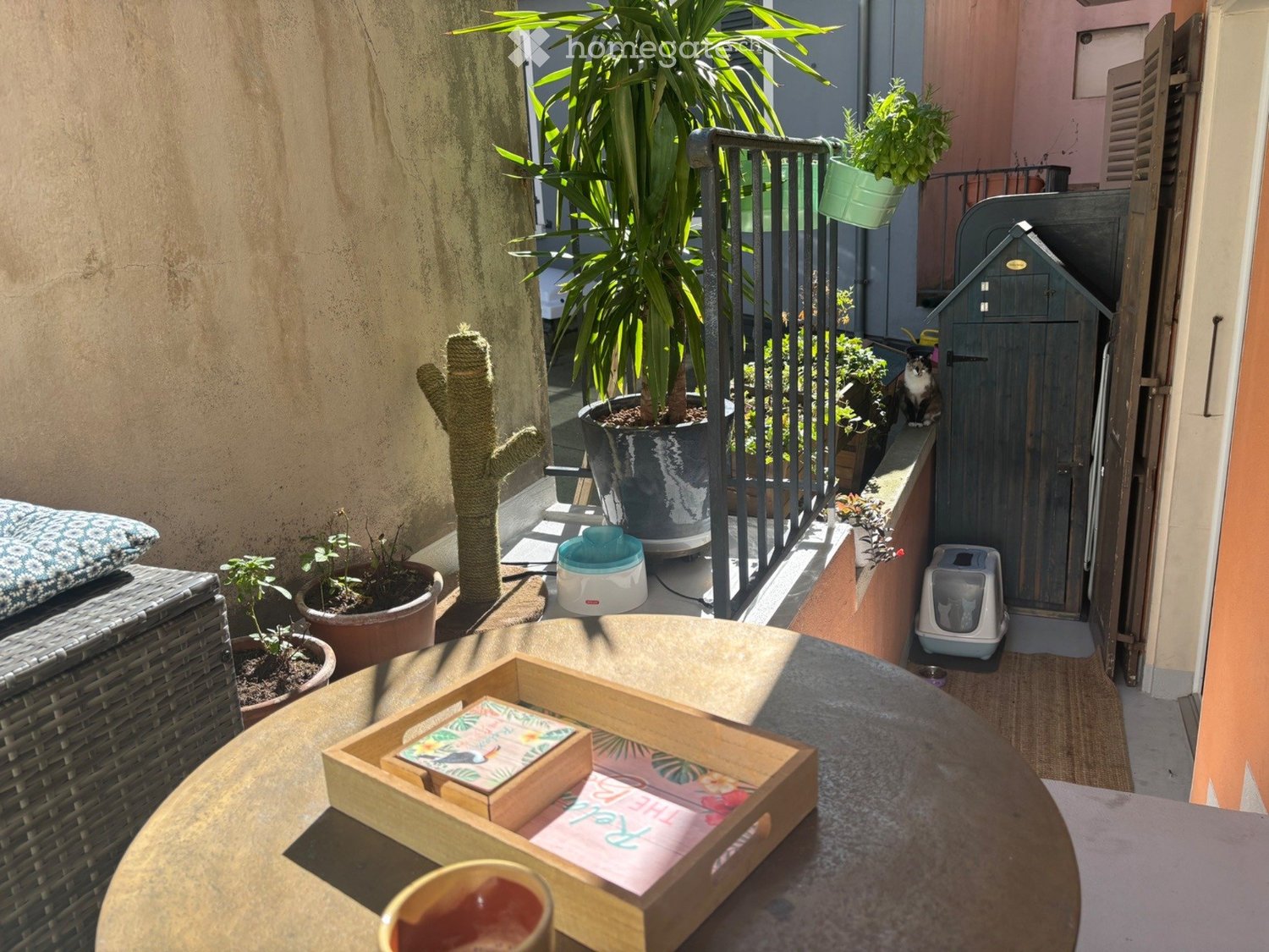 Appartamento di 4 ½ locali, foto 9 di 9