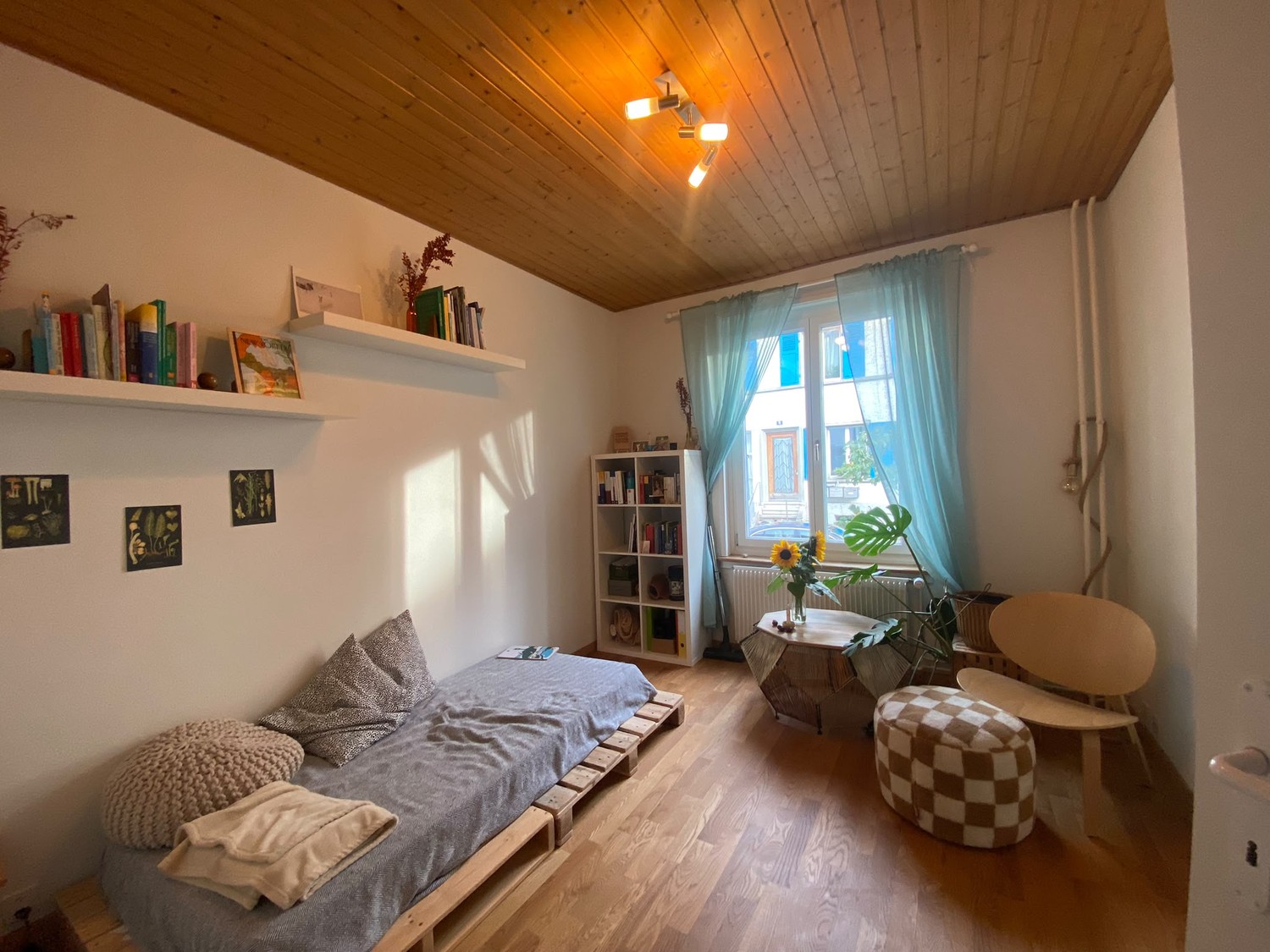 Room in a shared flat
