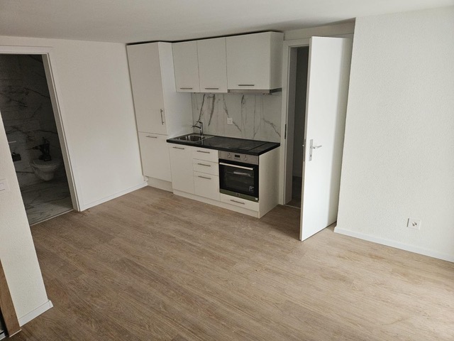 1 room apartment