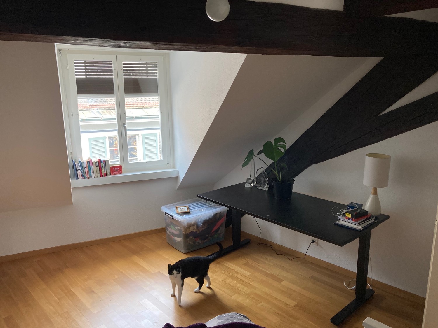 Appartement de 3 ½ pièces