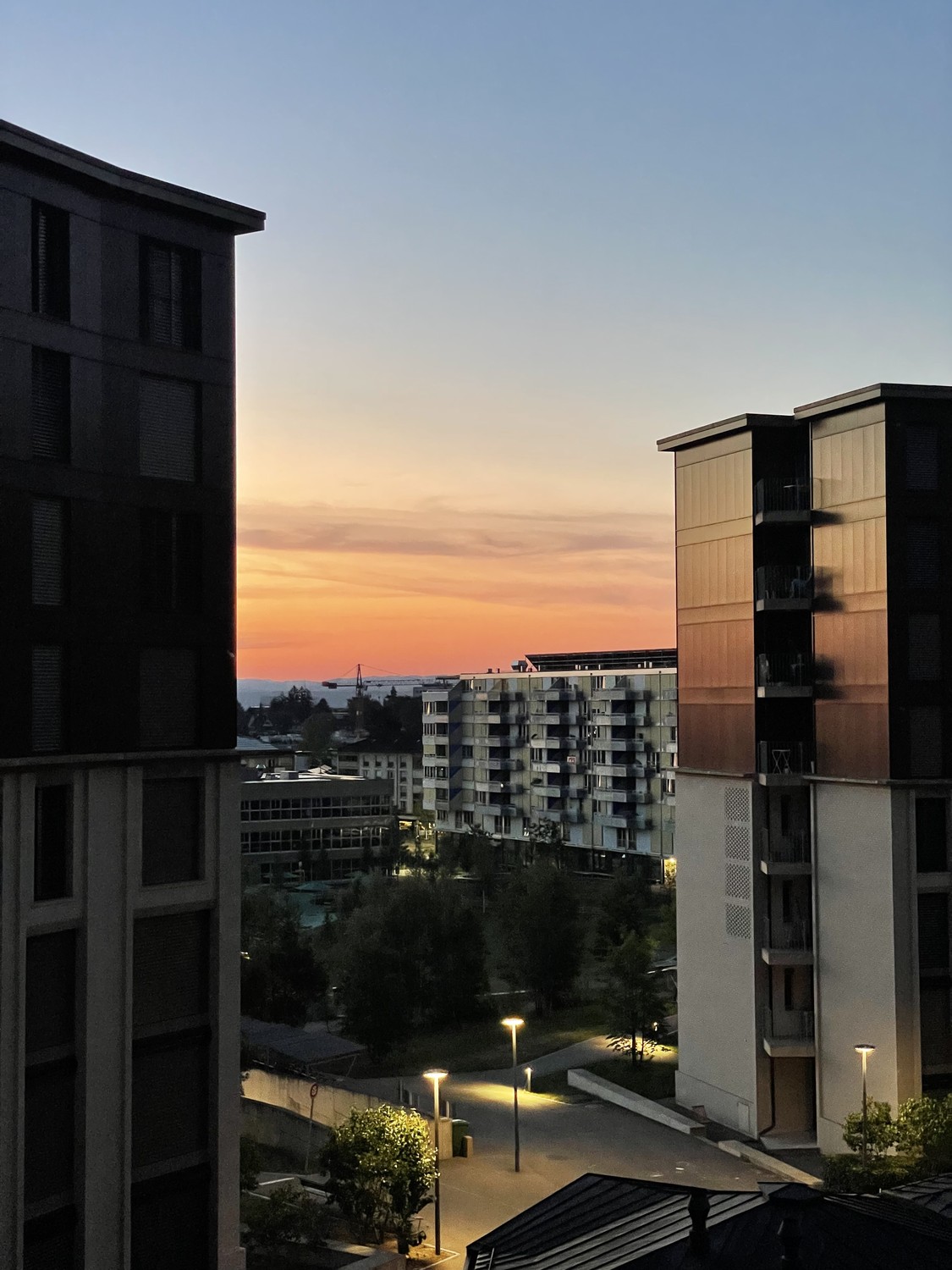 Stanza in un appartamento condiviso