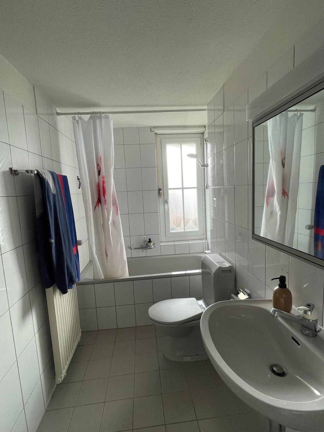 Appartamento di 3 ½ locali