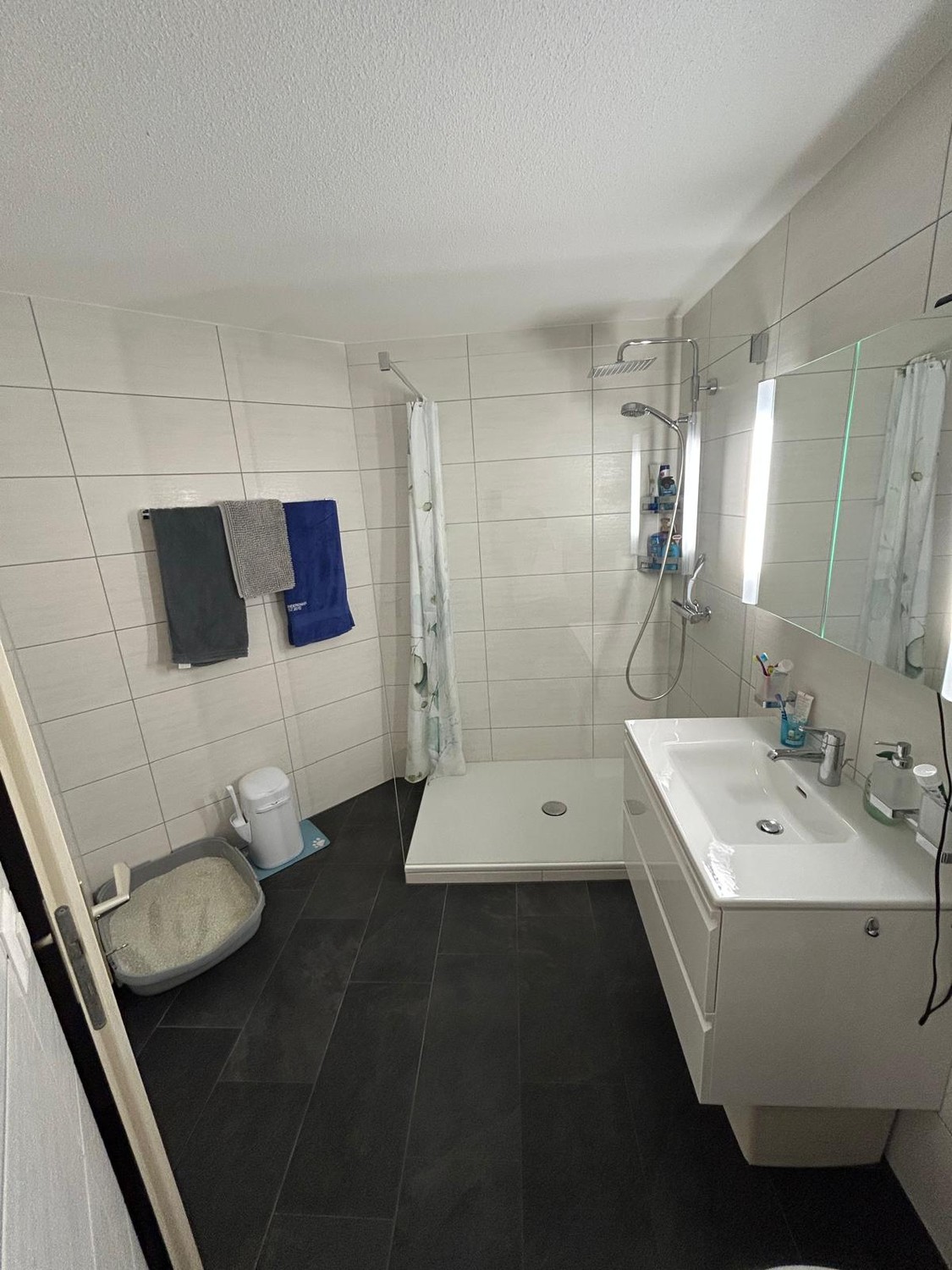 Appartamento di 3 ½ locali, foto 7 di 10