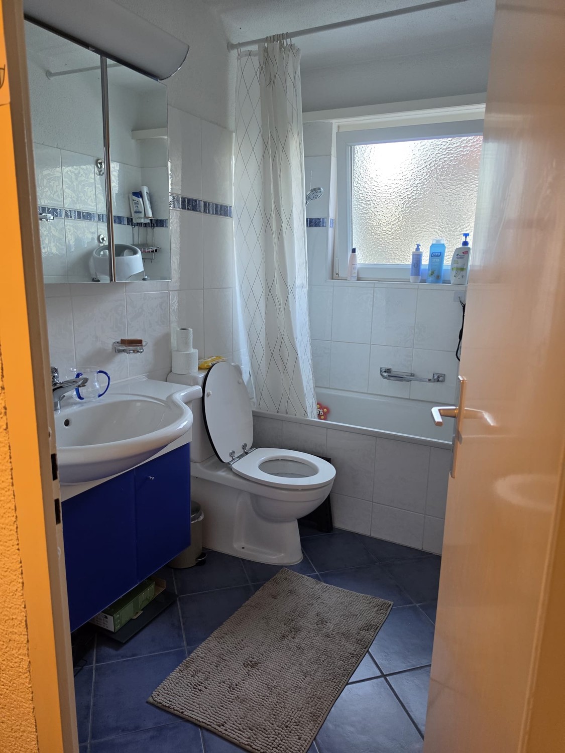 4 ½ rooms apartment