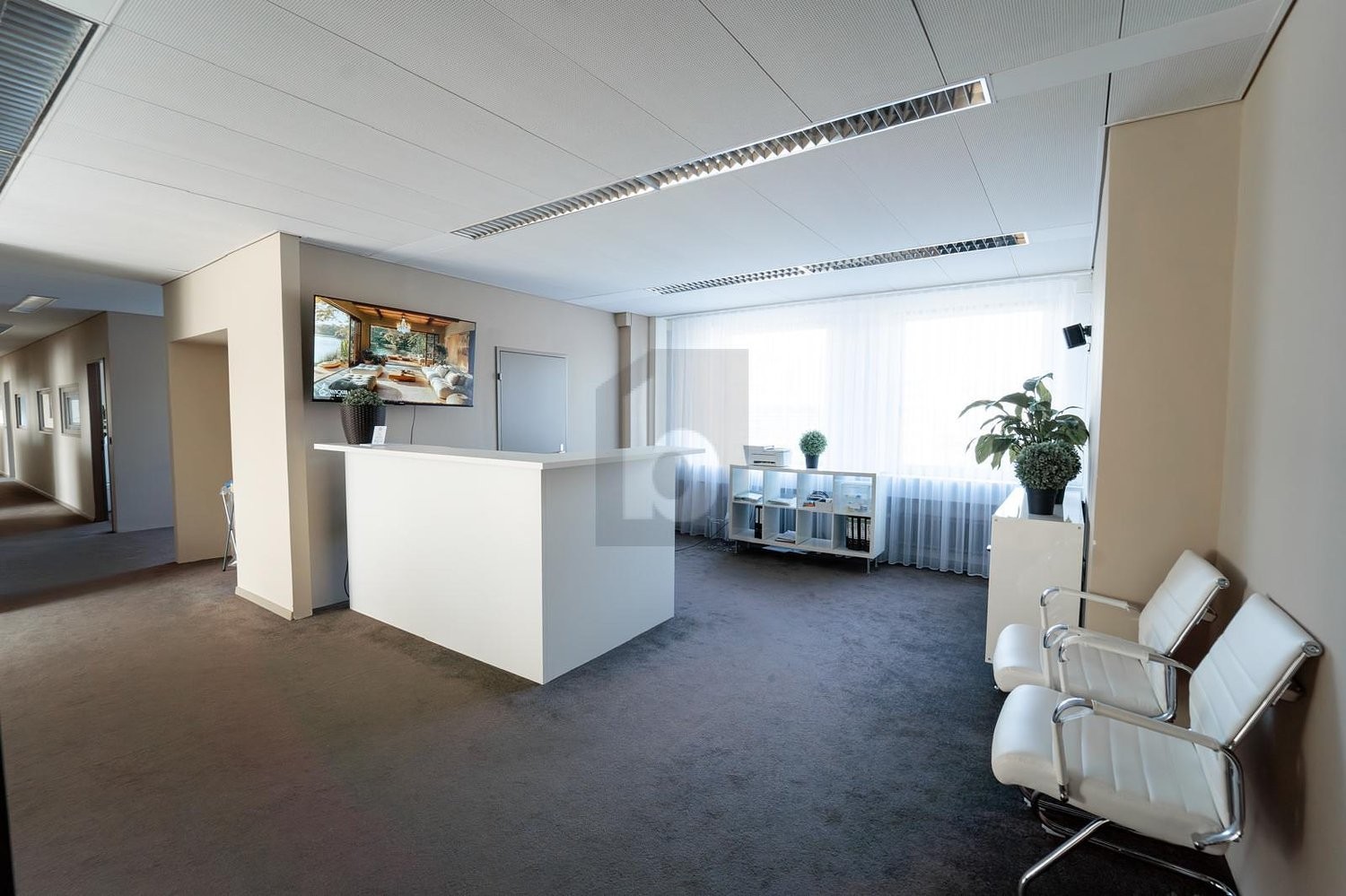 452m² ufficio