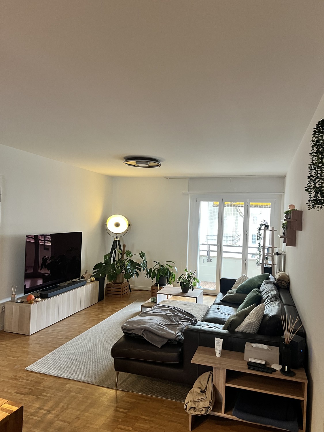 Appartamento di 2 ½ locali, foto 2 di 10