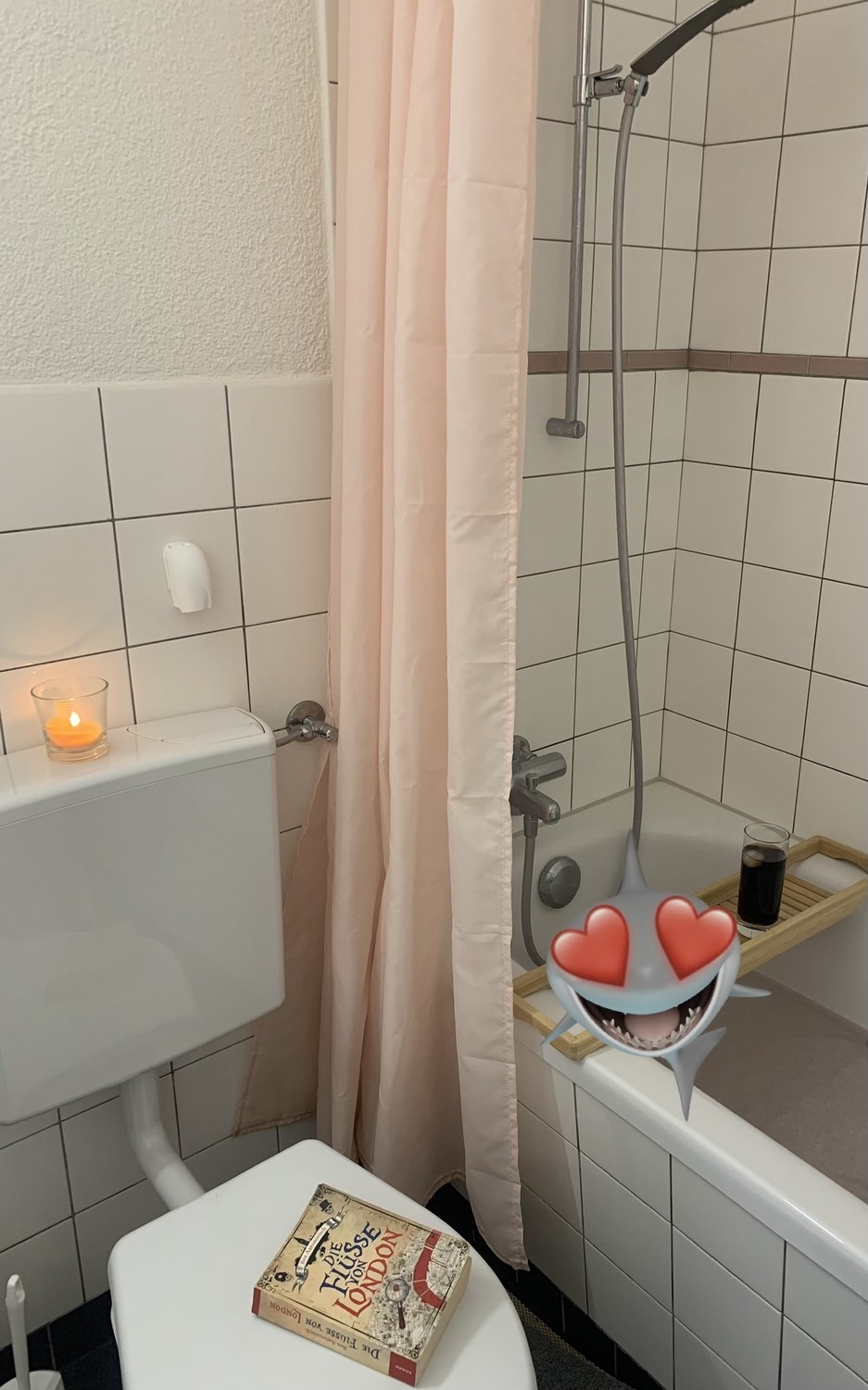 Appartamento di 2 ½ locali, foto 4 di 4