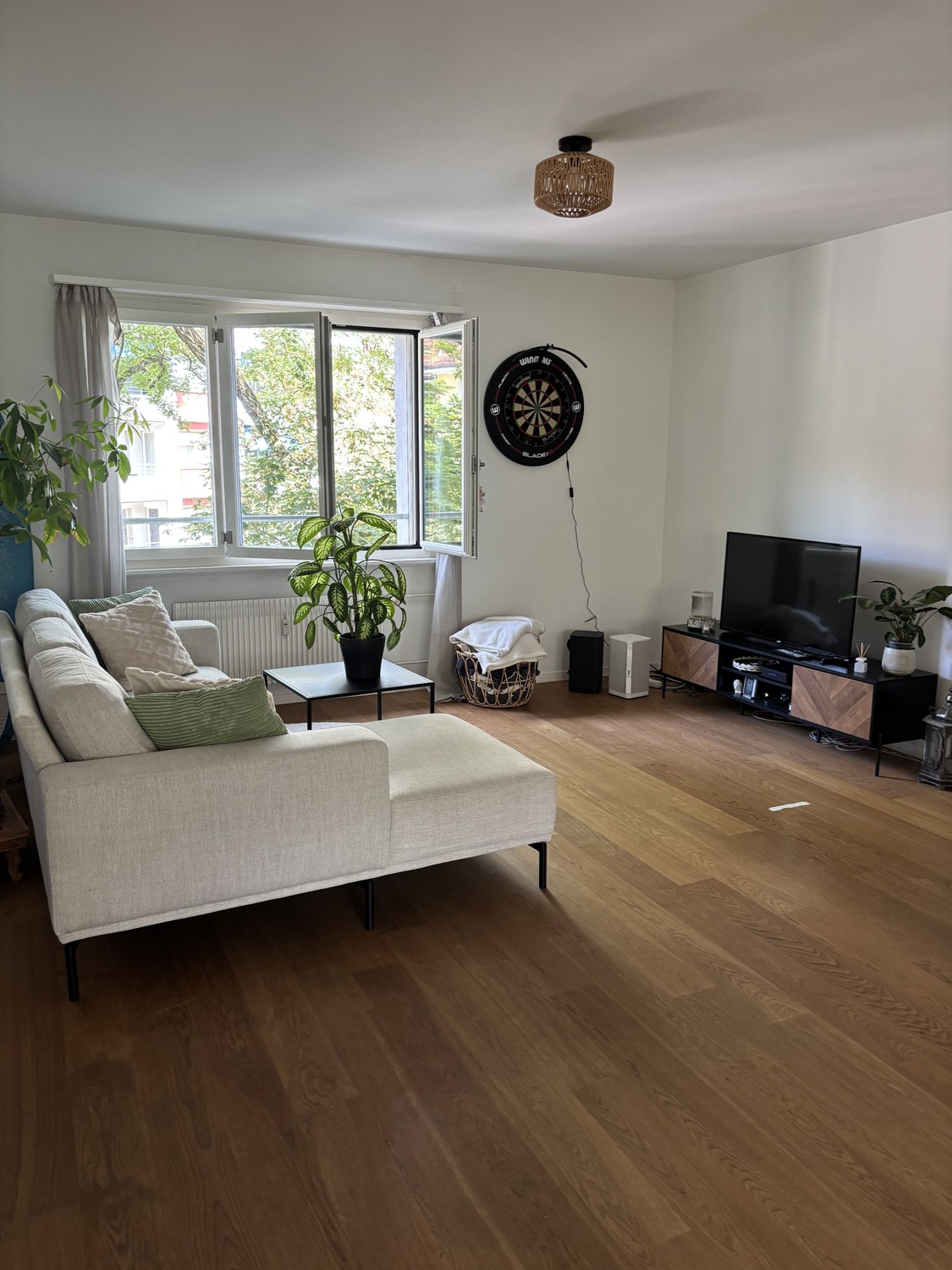 Appartamento di 3 ½ locali, foto 2 di 6