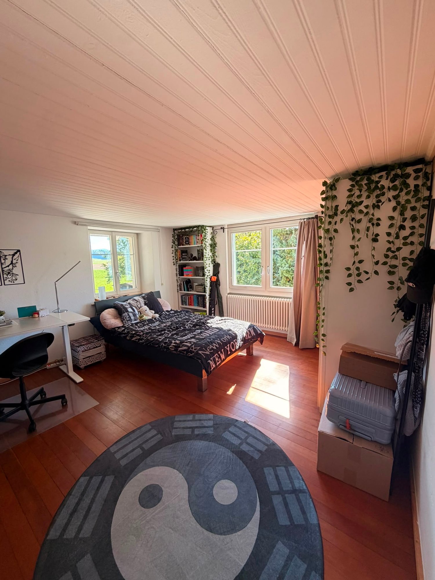 Room in a shared flat