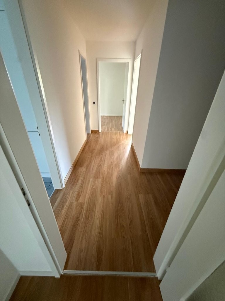 appartamento di 3 locali