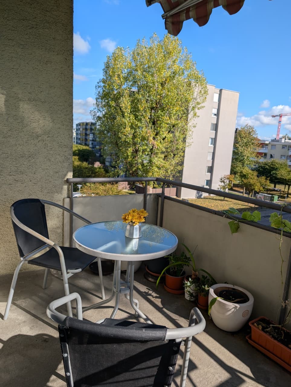 Appartamento di 2 locali, foto 7 di 10