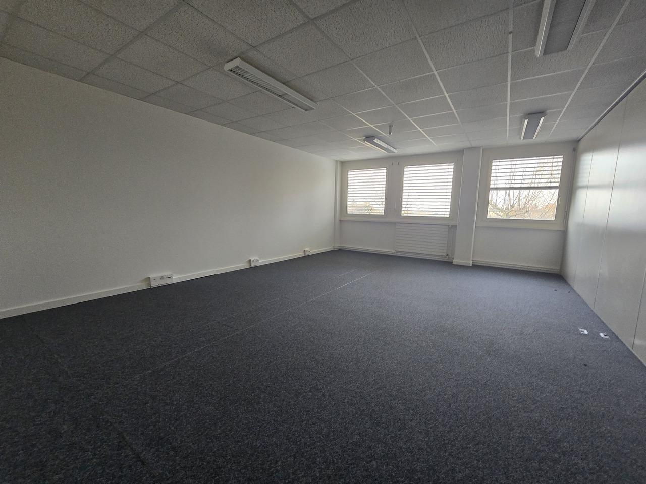 156m² ufficio