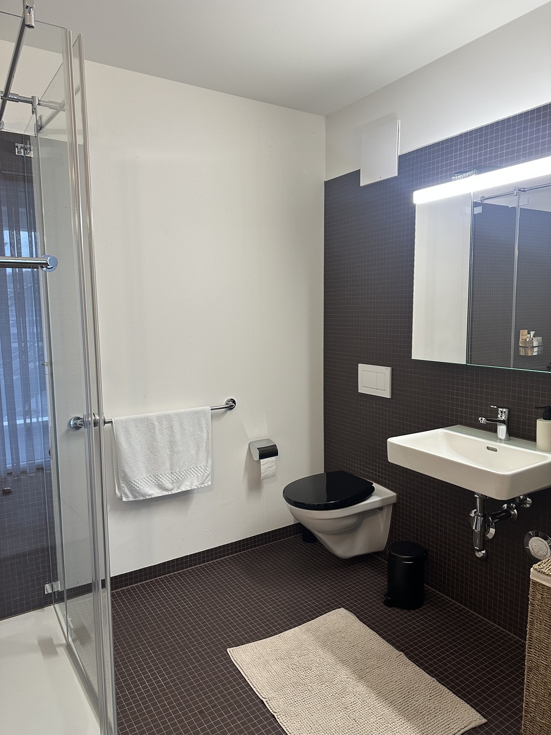Appartamento di 2 ½ locali, foto 9 di 10