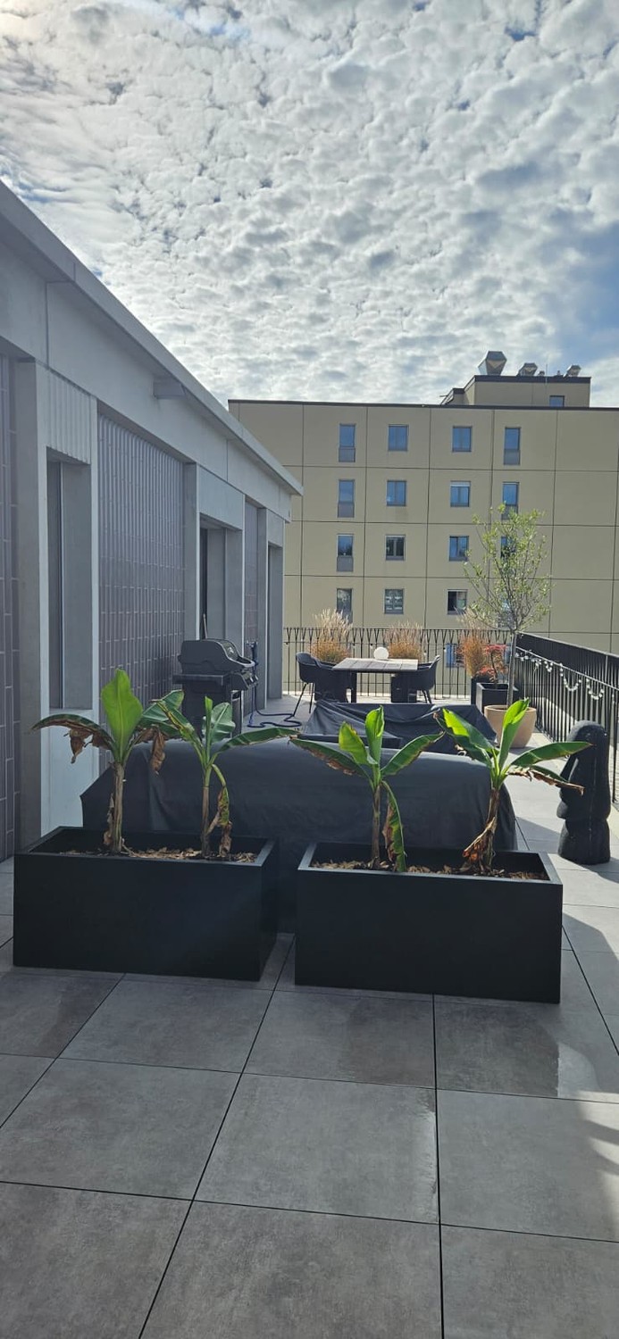 Appartamento di 3 ½ locali, foto 7 di 9
