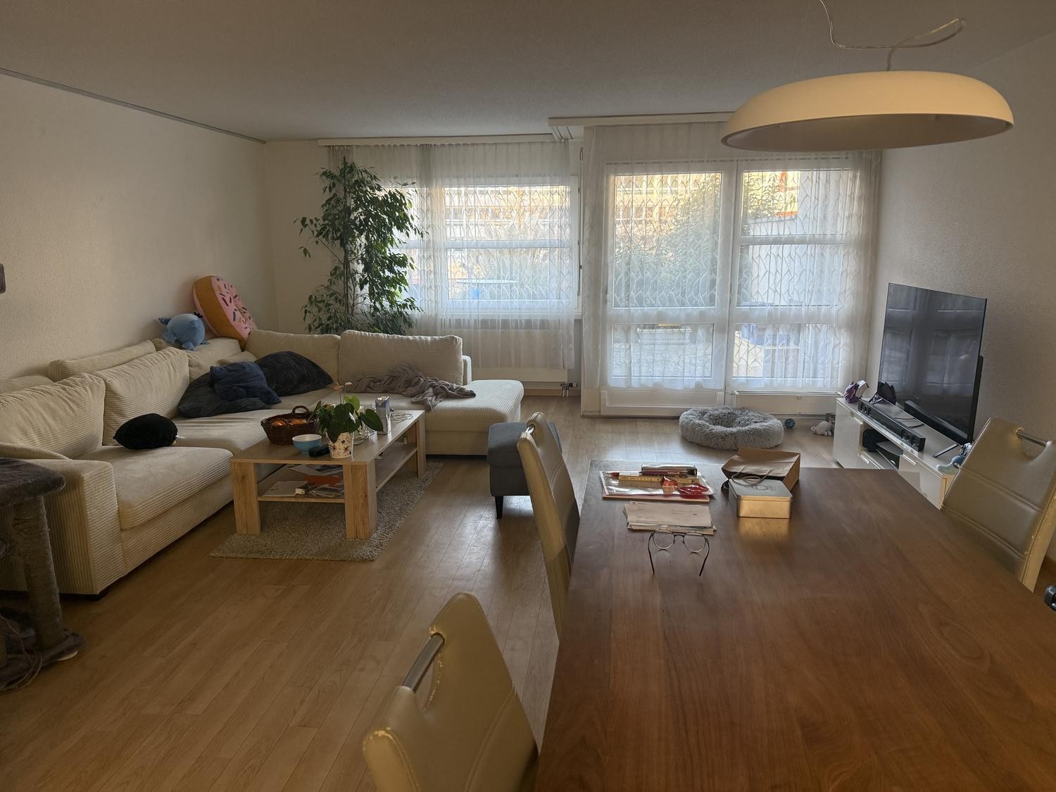 Camera in appartamento condiviso