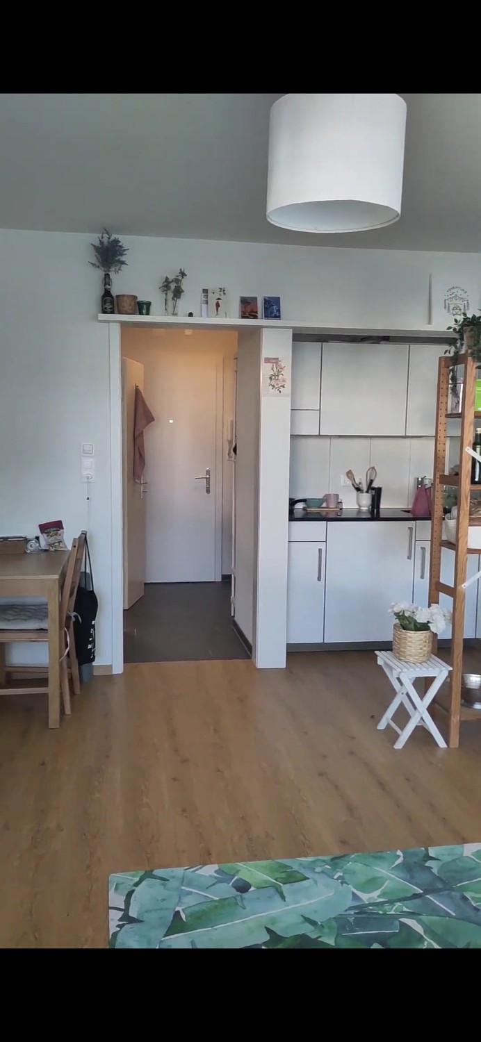 Appartamento con 1 locale, foto 4 di 6