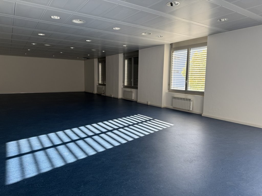 229m² office