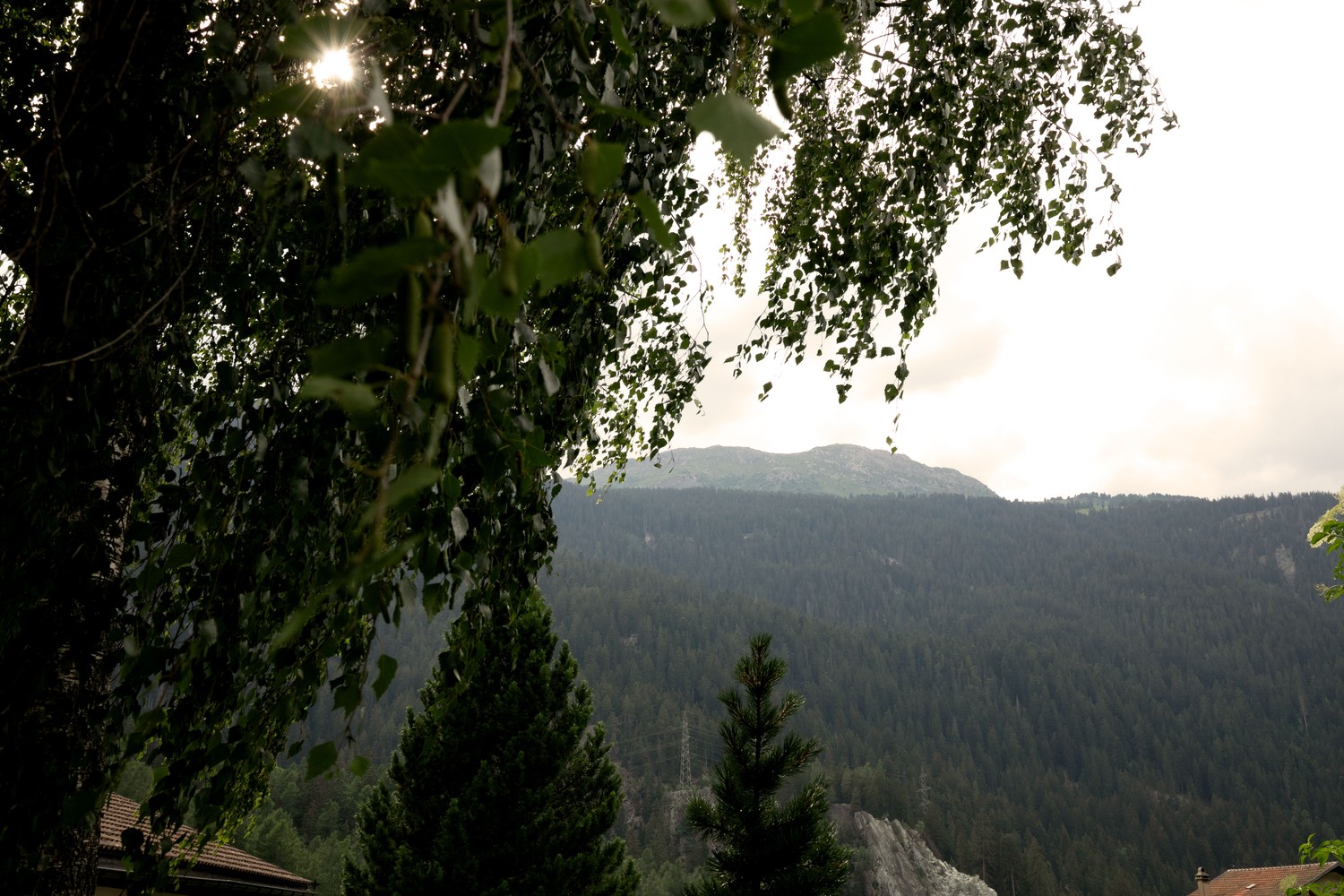 Appartamento di 2 ½ locali