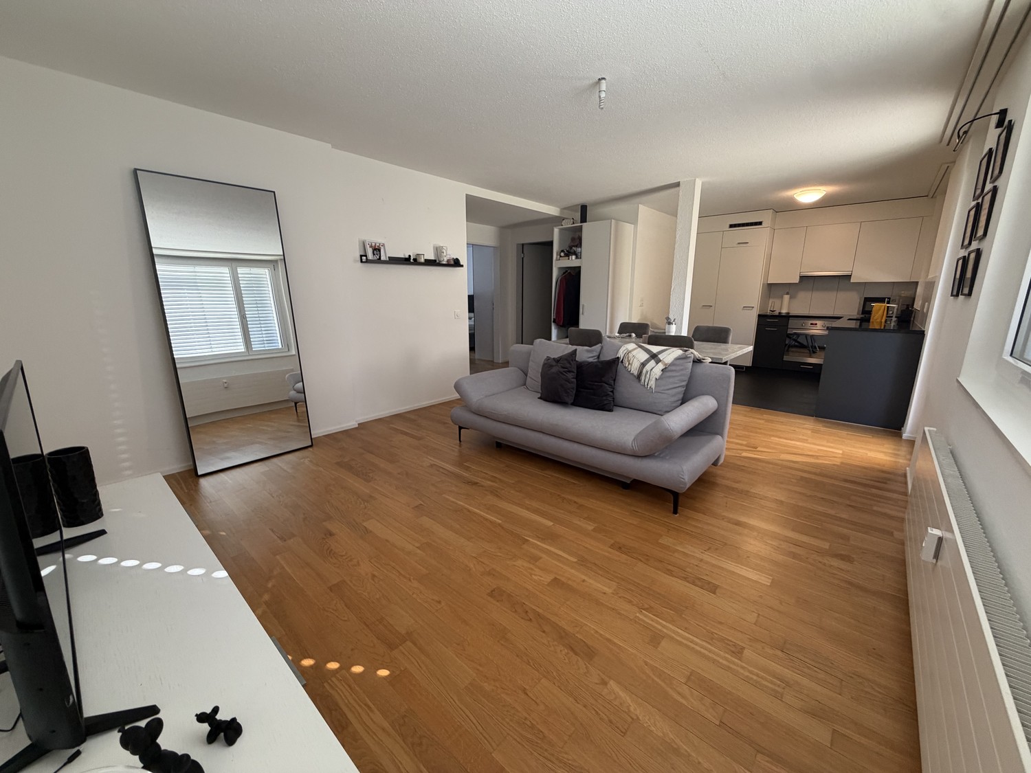 Appartamento di 3 ½ locali, foto 1 di 6