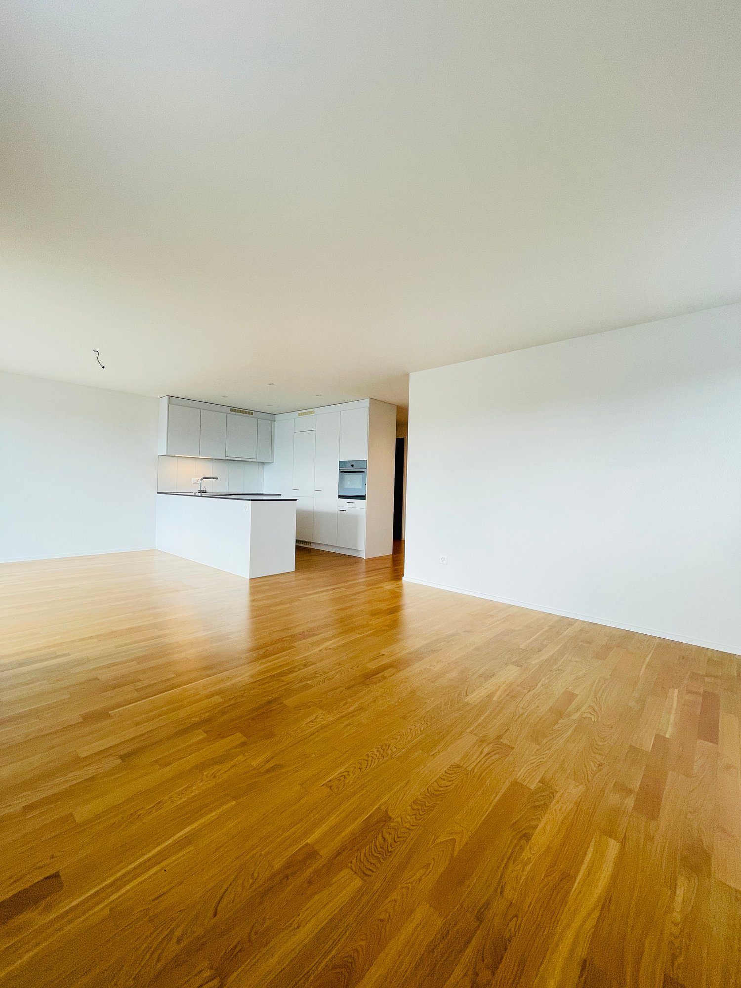Appartement de 4 ½ pièces