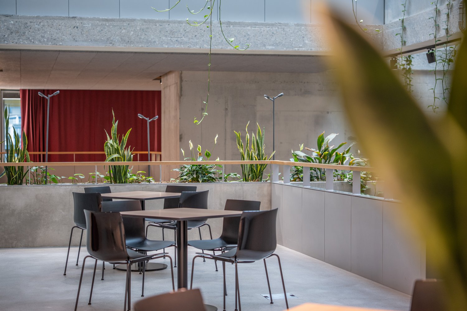 460m² commerciale