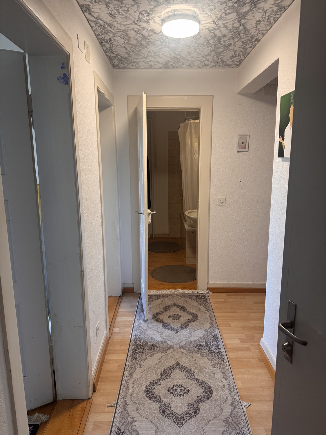 appartamento di 2 ½ locali