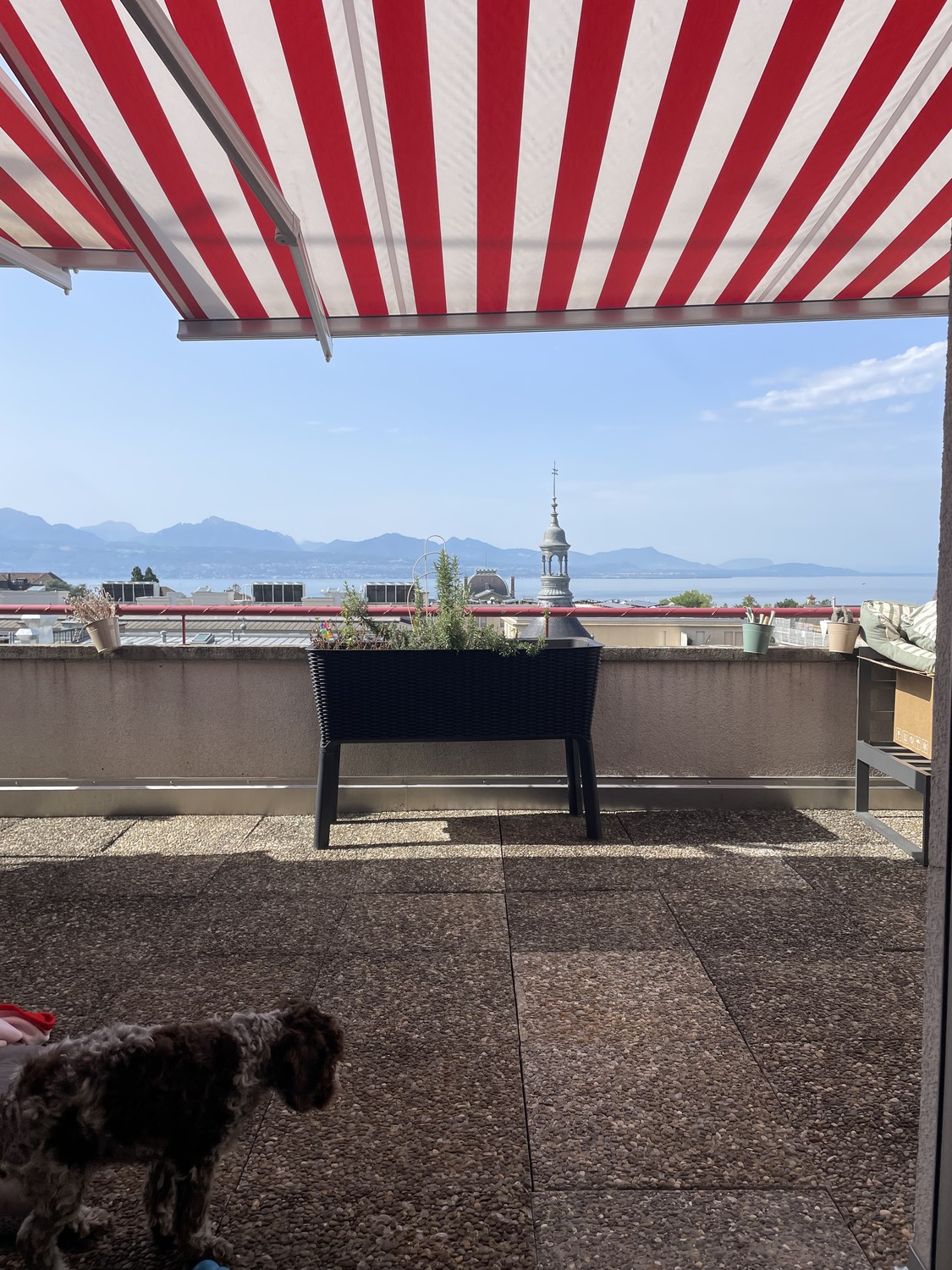 Appartamento di 3 ½ locali, foto 4 di 6