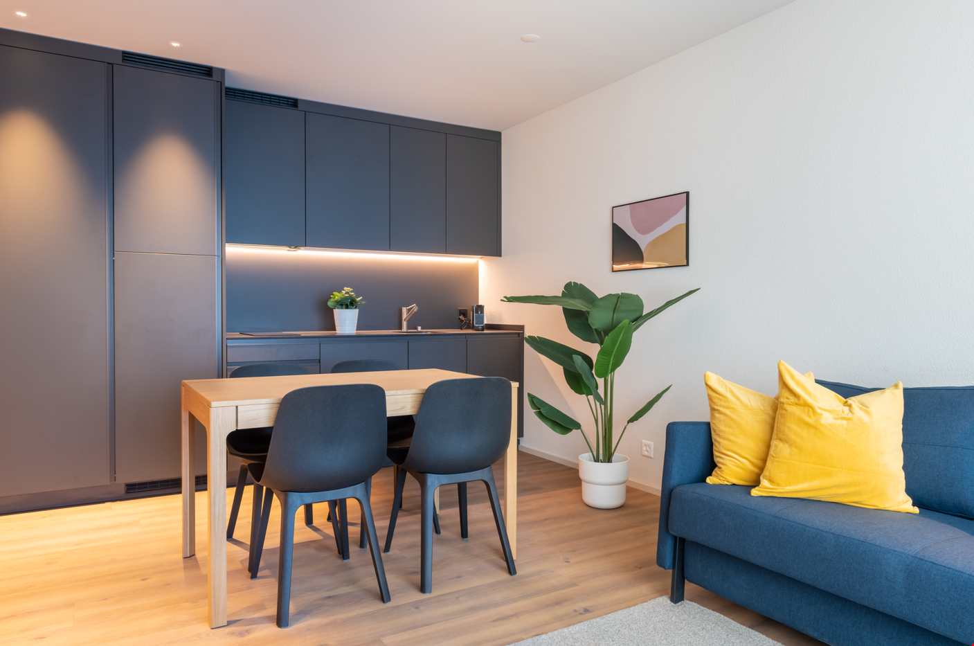 2 ½ rooms furnished flat