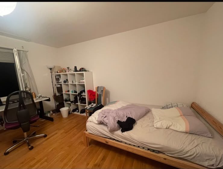 Room in a shared flat