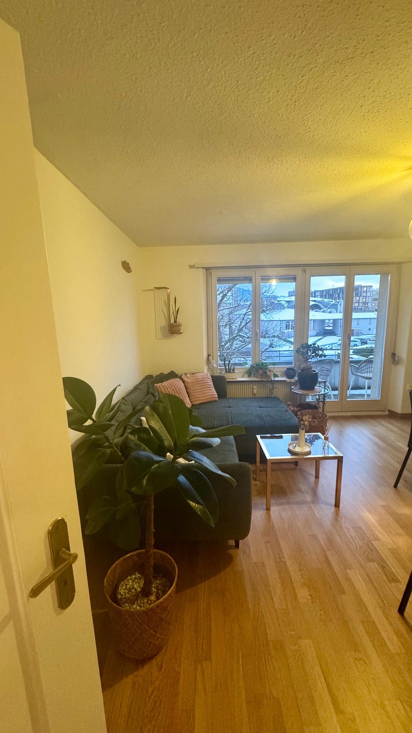 Room in a shared flat