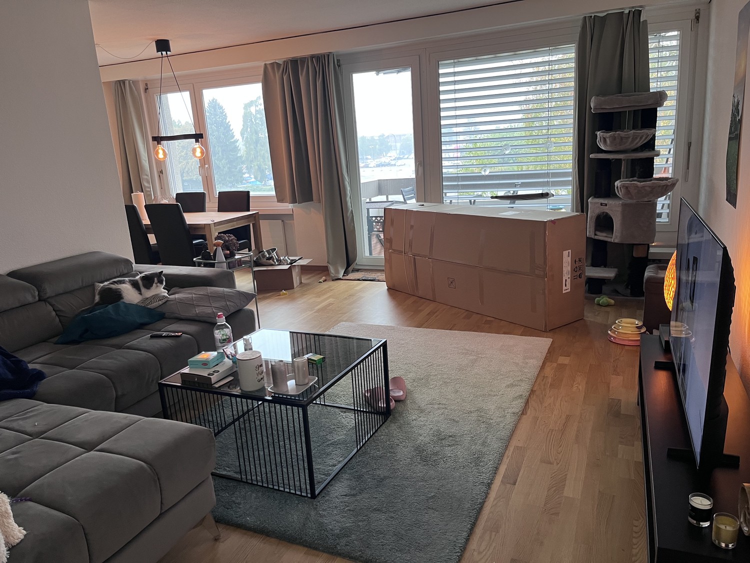 Appartamento di 2 ½ locali, foto 6 di 10