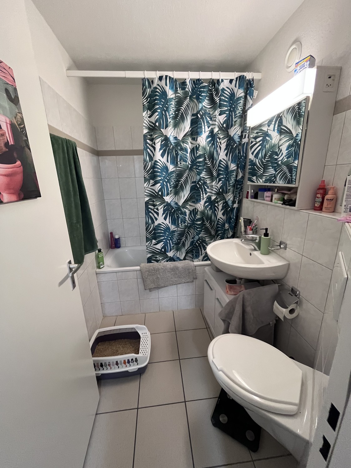 Appartamento di 2 ½ locali, foto 10 di 10