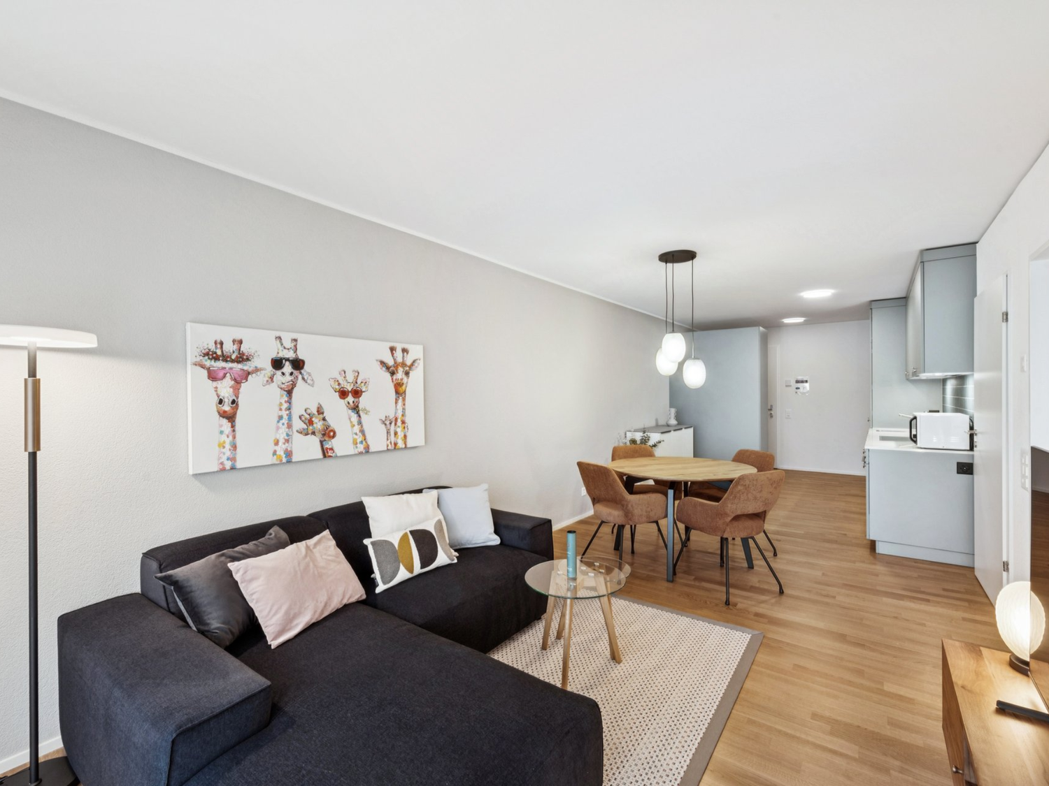 Appartement de 2 ½ pièces