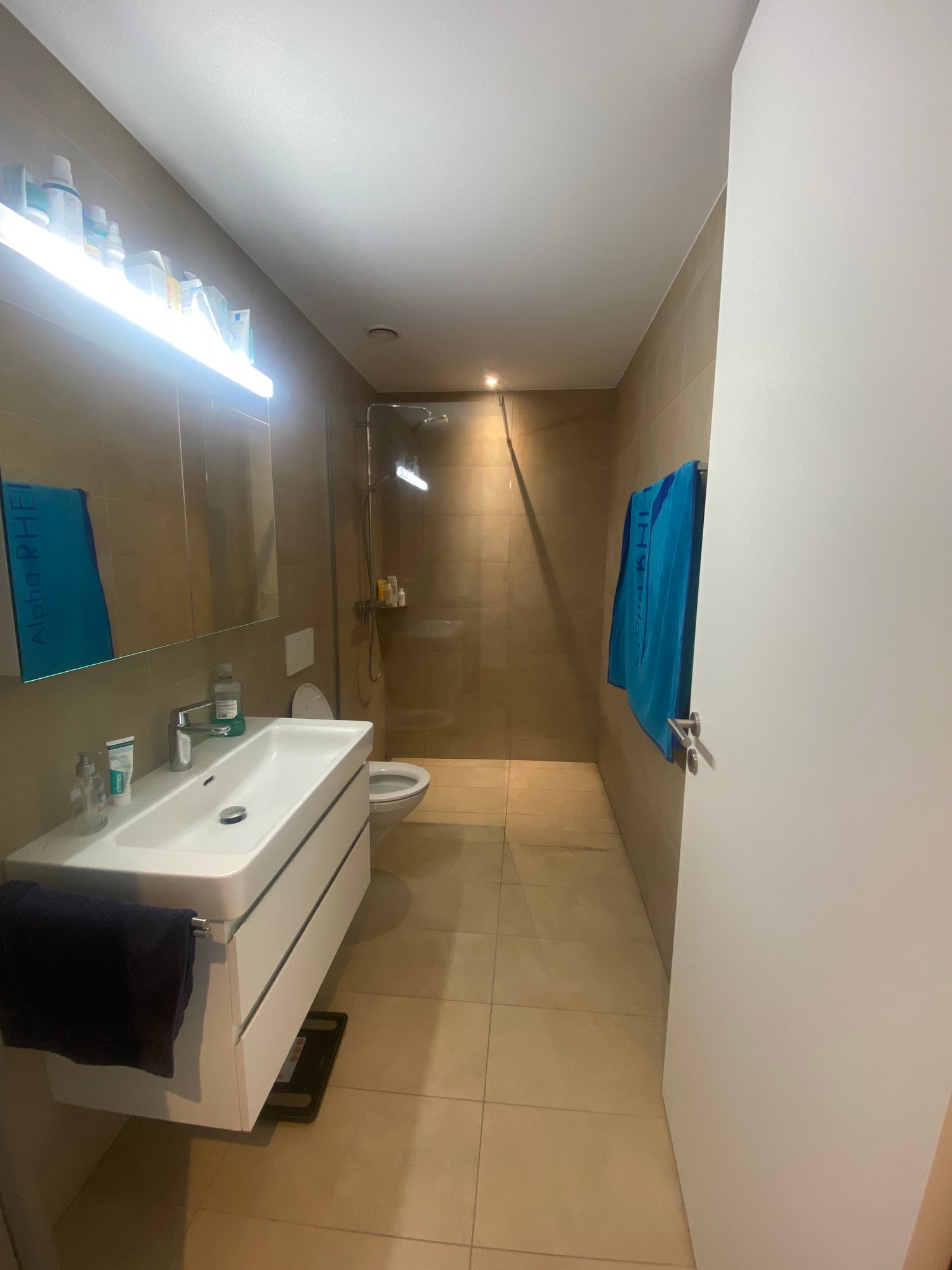4 ½ Zimmer Wohnung