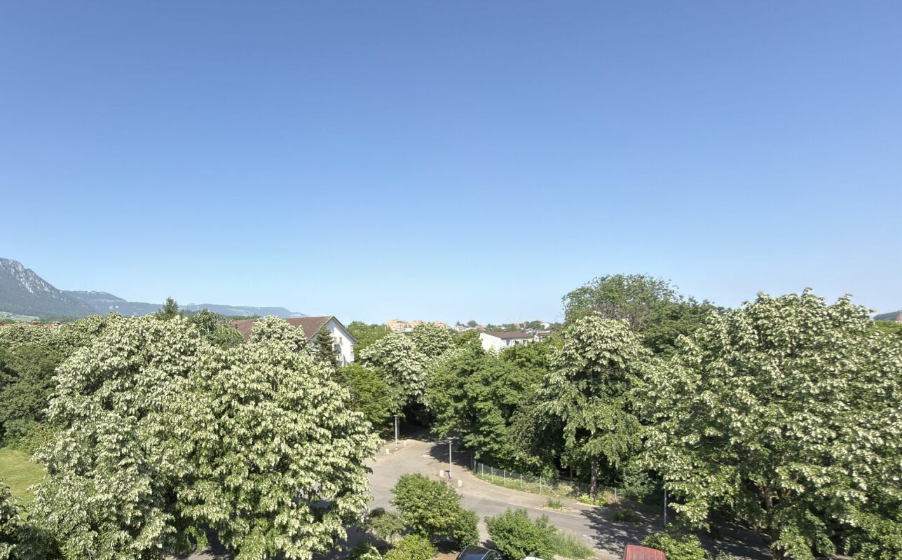 Appartamento di 2 ½ locali