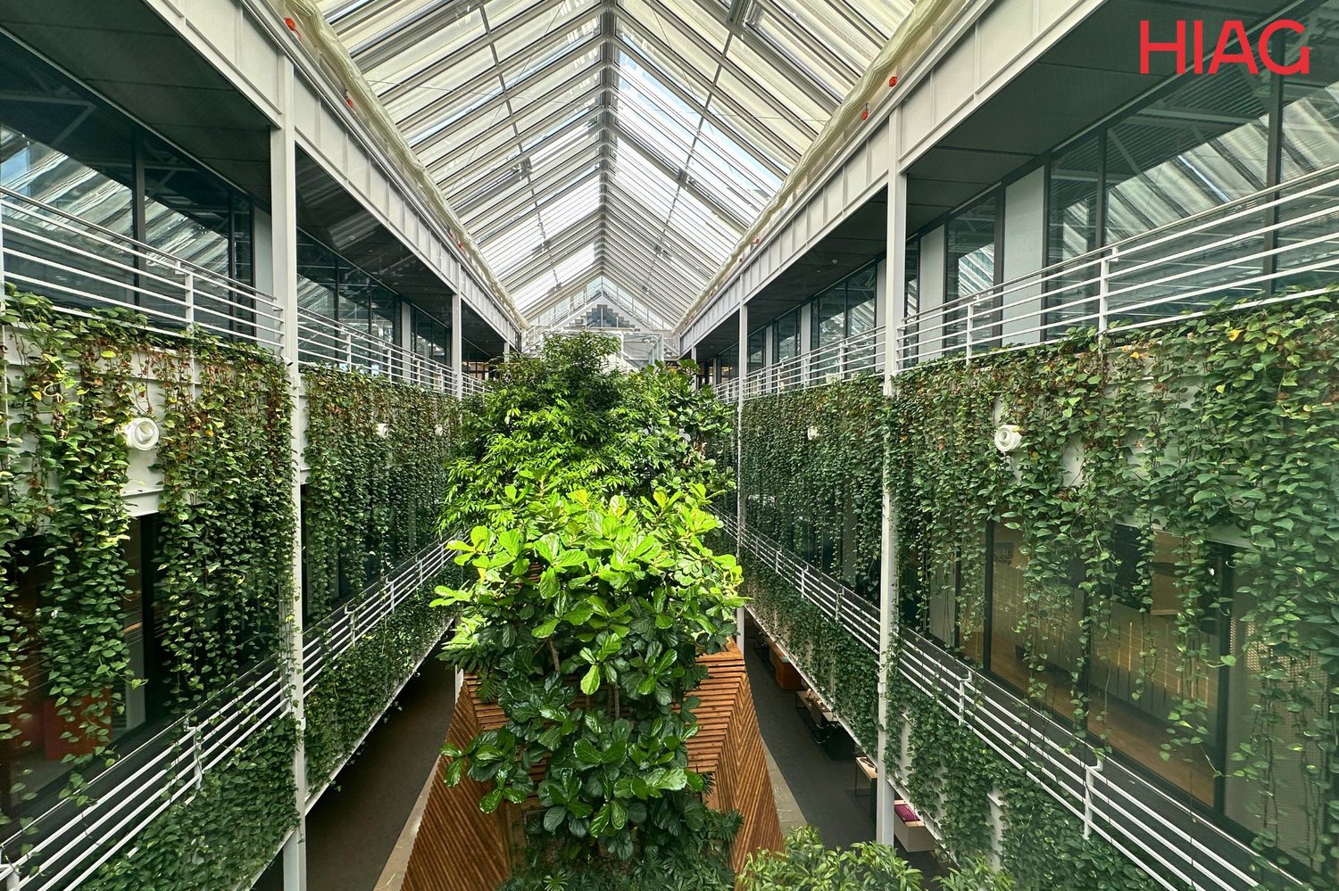 ufficio di 230m²