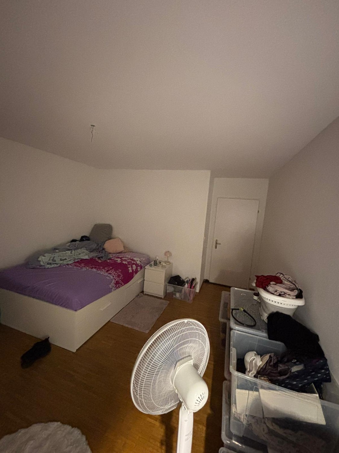 Stanza in un appartamento condiviso, foto 1 di 4