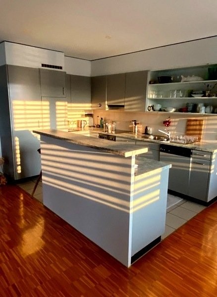 Appartamento arredato di 3 ½ locali