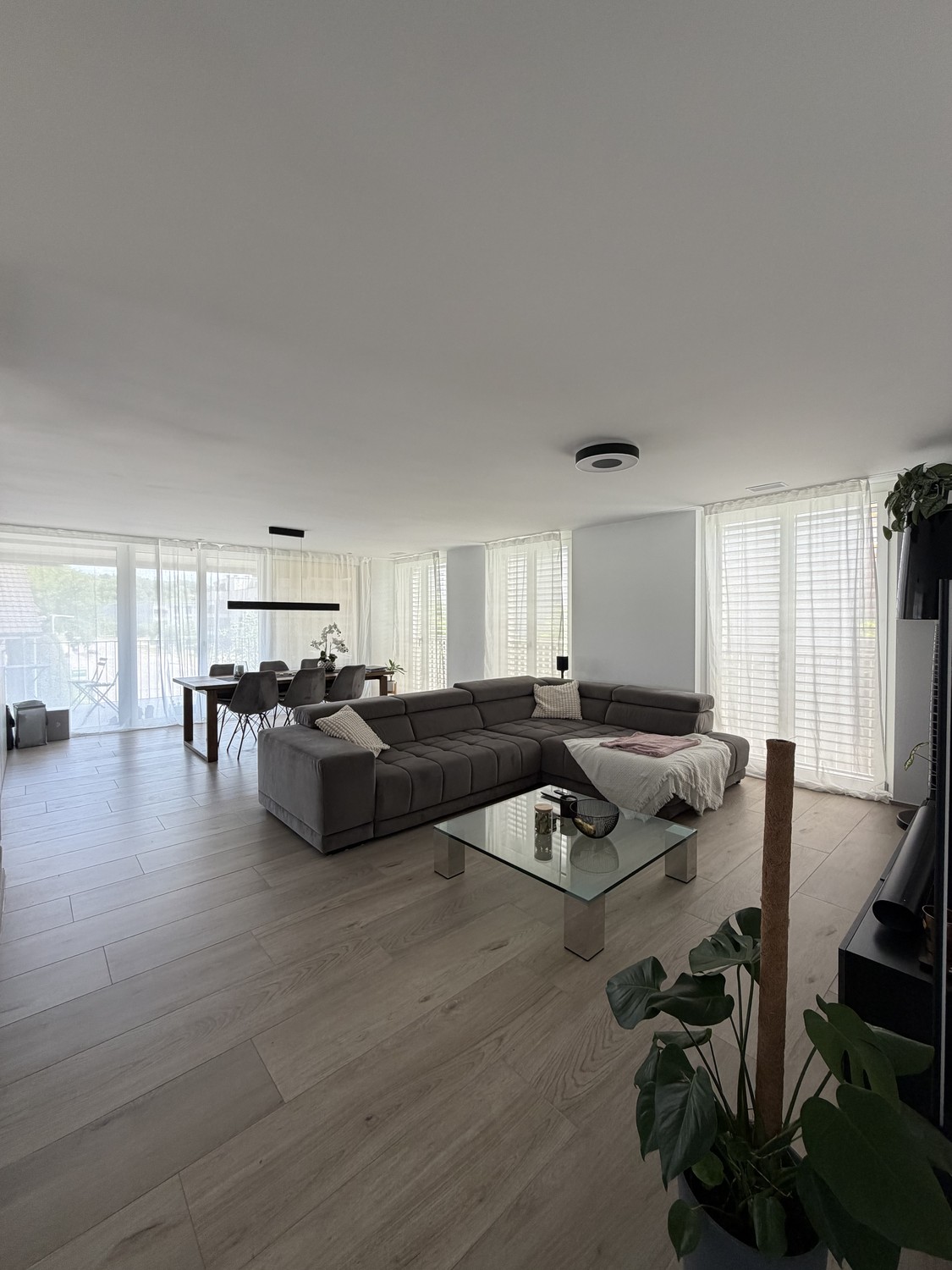 Appartamento di 3 ½ locali, foto 1 di 8