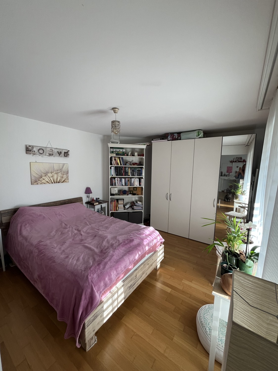 appartamento di 2 ½ locali, foto 3 di 5