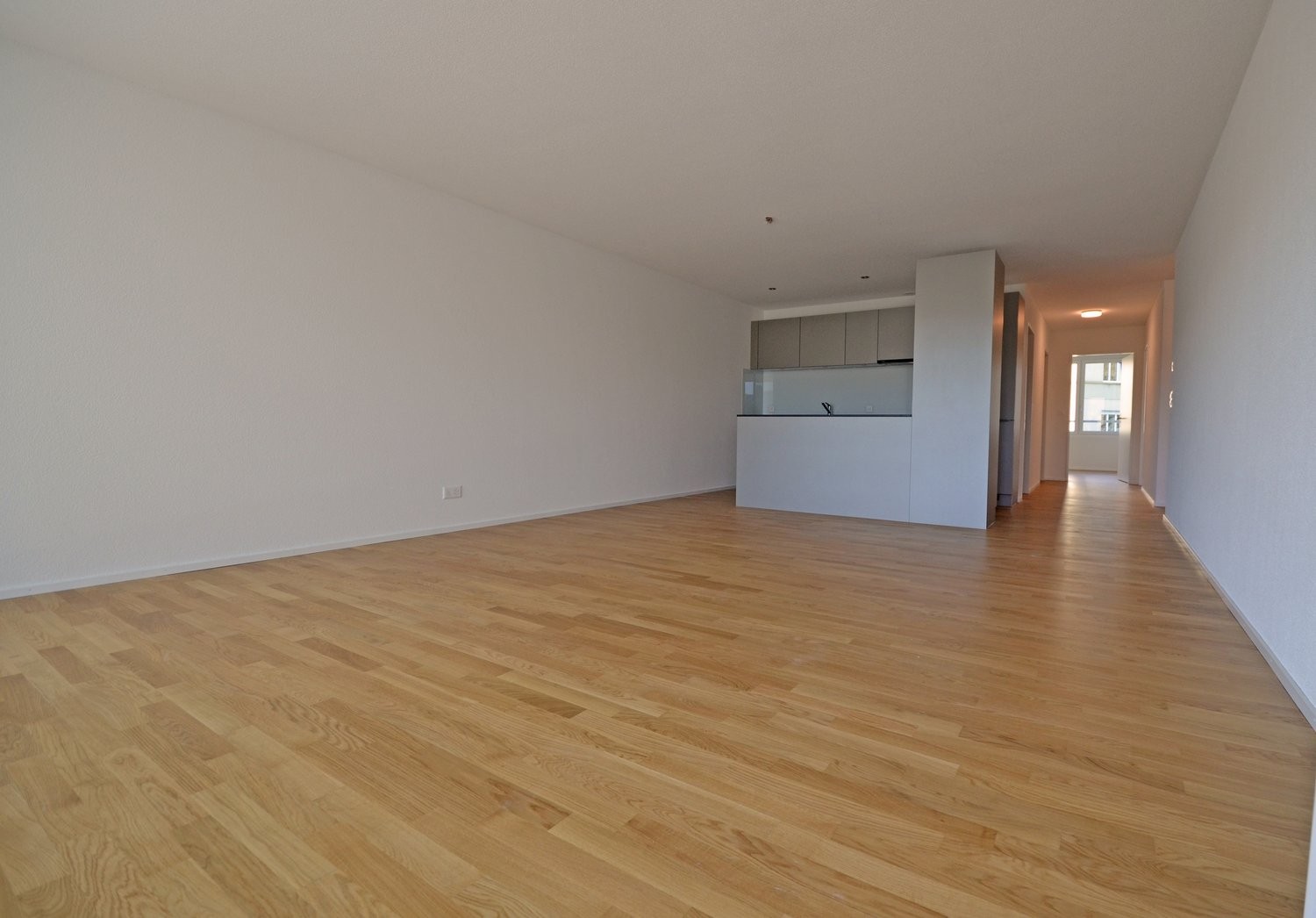 Appartamento di 3 ½ locali, foto 2 di 7