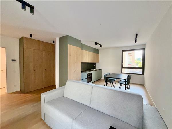 1 ½ rooms furnished flat, foto 3 di 7