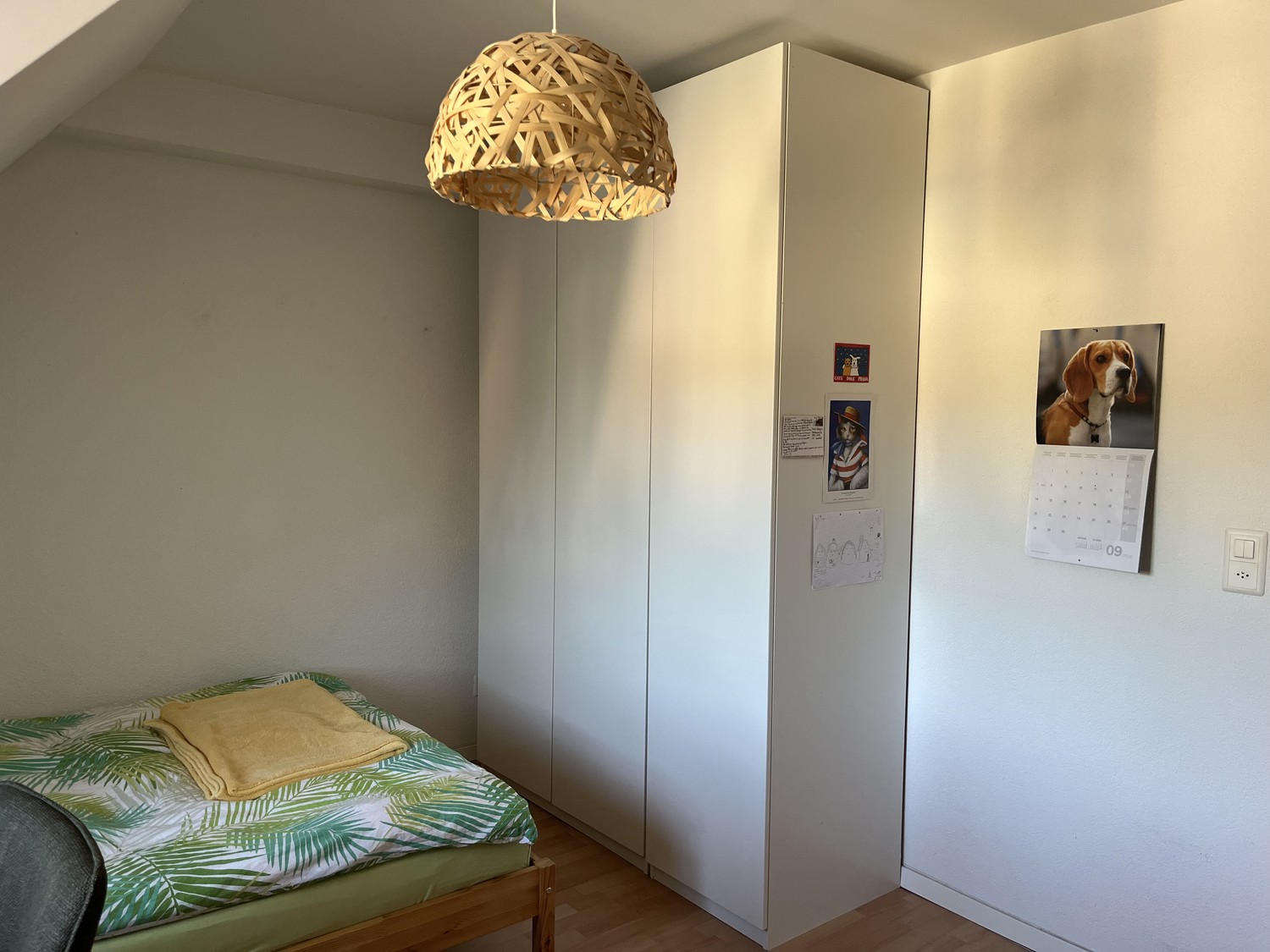 Stanza in un appartamento condiviso