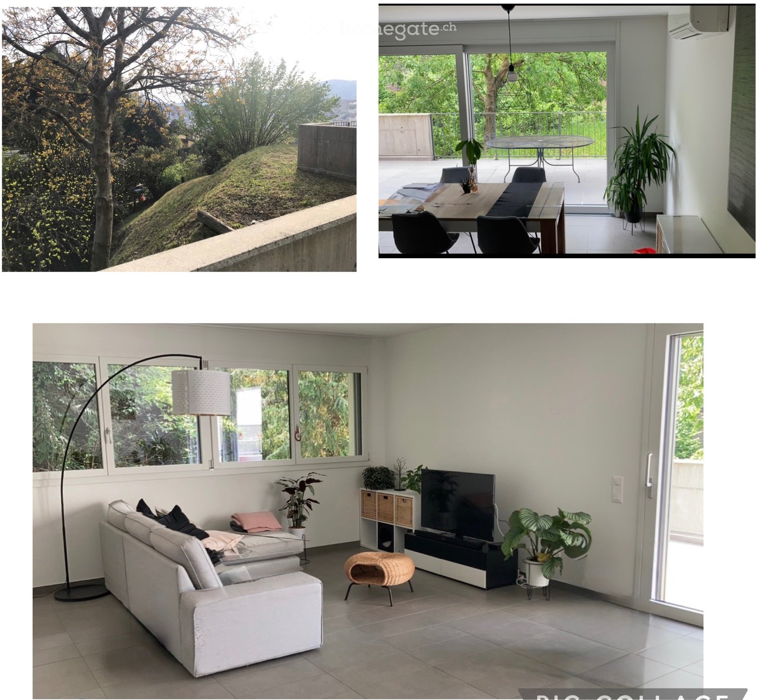 3 rooms apartment