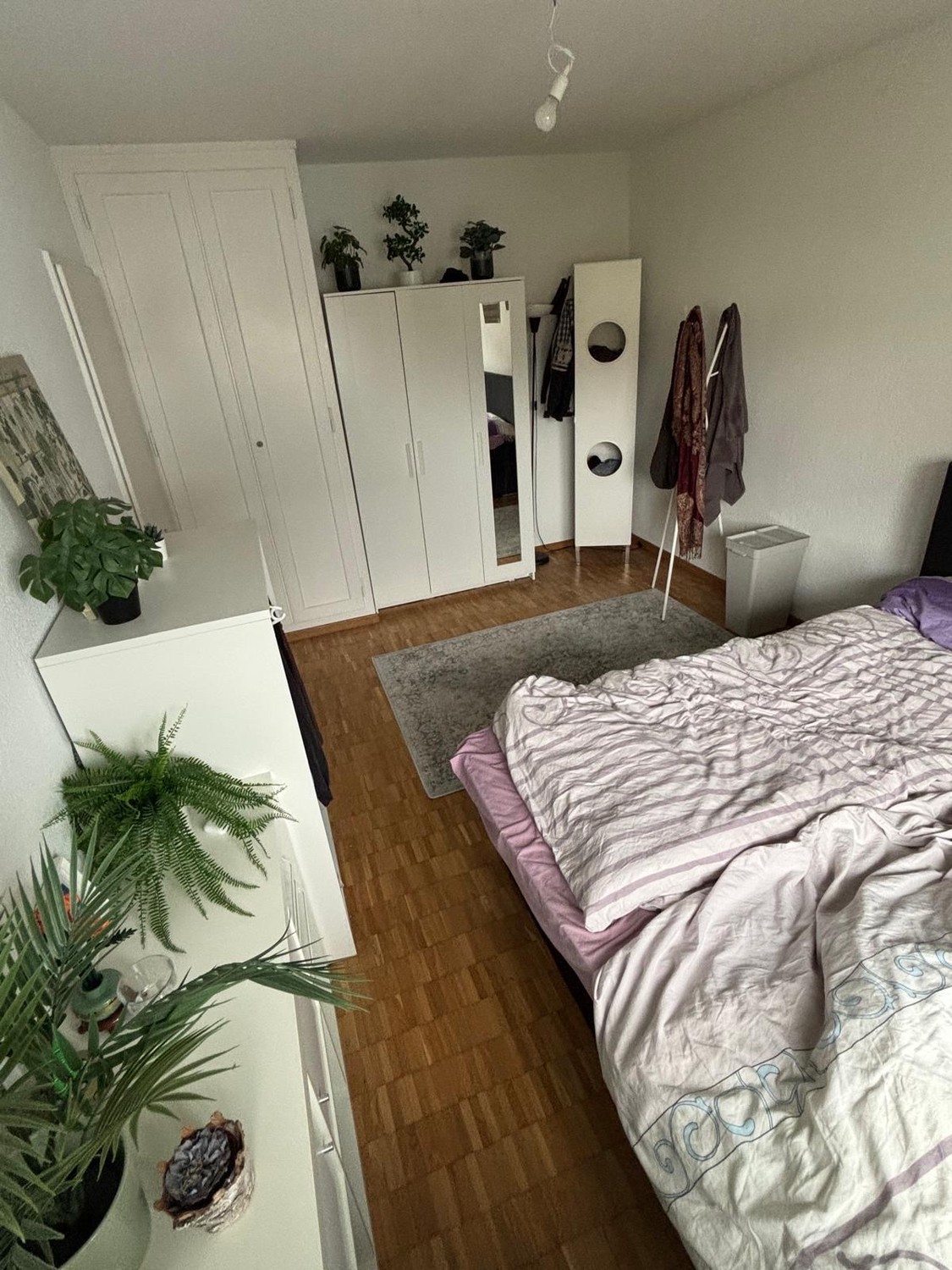 Appartamento di 2 ½ locali, foto 9 di 10